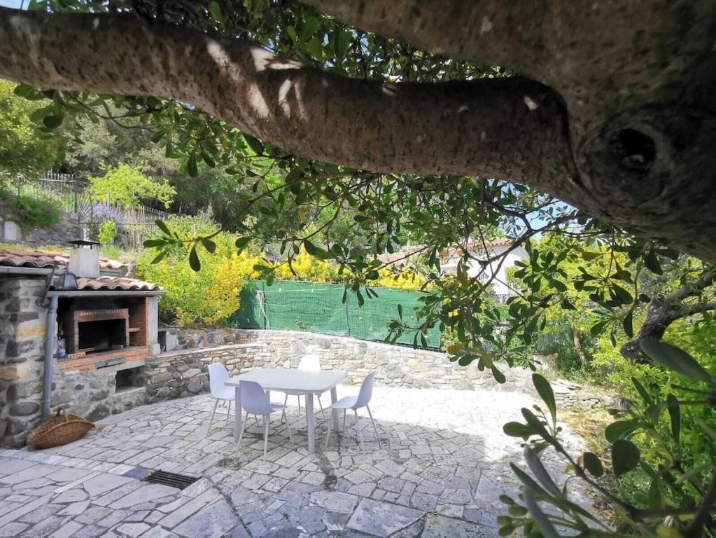 Bas De Villa Au Calme Villeneuve-Loubet Exterior photo